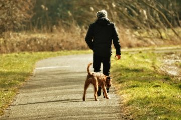 A picture of a man and dog walking on a trail.